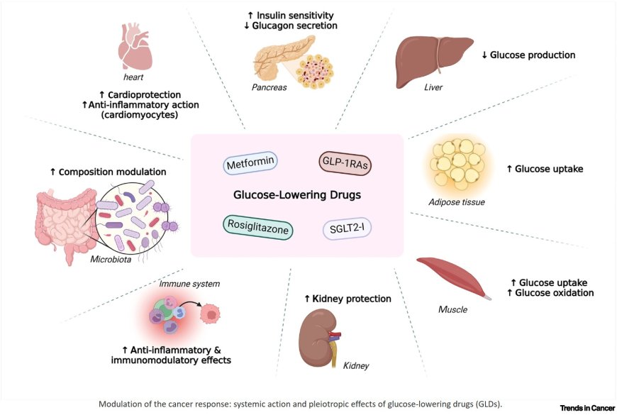 Repurposing glucose-lowering drugs for cancer therapy
