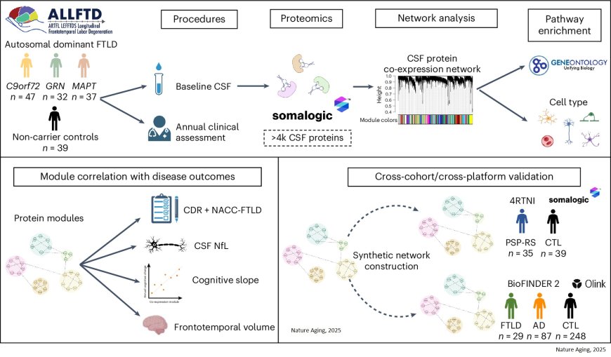 Molecular signatures of frontotemporal lobar degeneration