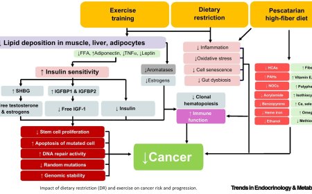 Health-span extension using energy restriction and exercise