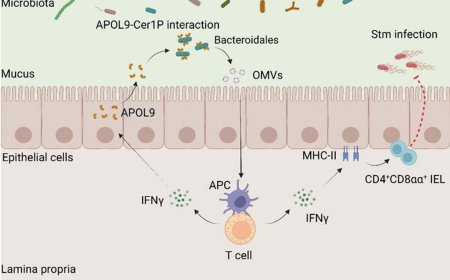 Lipid-based communication between body and gut microbes to maintain intestinal health