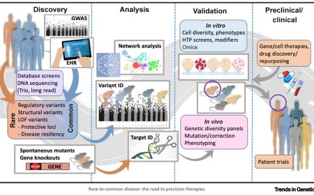 Connecting rare-to-common disease to therapies