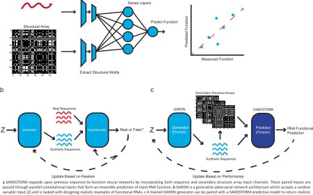 Generative AI to design RNA