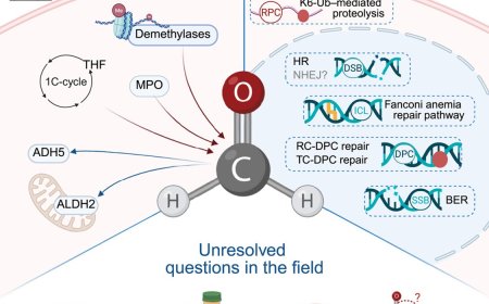 Mechanisms underlying formaldehyde toxicity and response