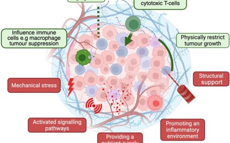 The extracellular matrix in cancer!