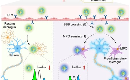 New technology to guide epilepsy surgery!