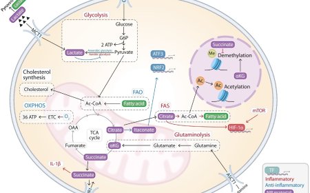 Nanoparticles to engineer immunity
