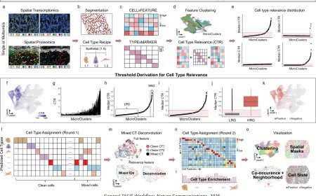 TACIT algorithm to diagnose and treat cancer