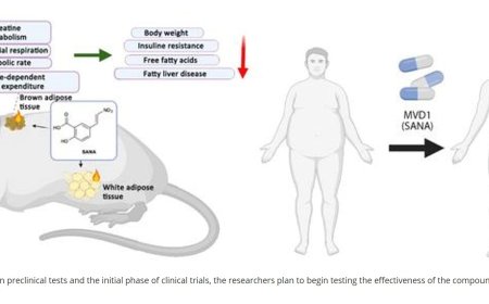 An innovative drug for controlling weight and blood sugar