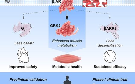 GRK-biased adrenergic agonists for the treatment of type 2 diabetes and obesity