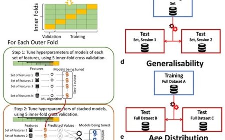 Predicting cognitive abilities from brain scans