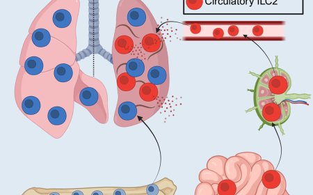 Gut-lung axis in early lung defense and repair