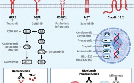 Gastric cancer biomarkers and precision medicine