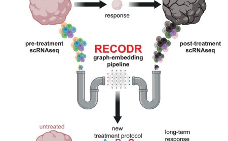 New tool identifies drug targets to stop cancer treatment resistance