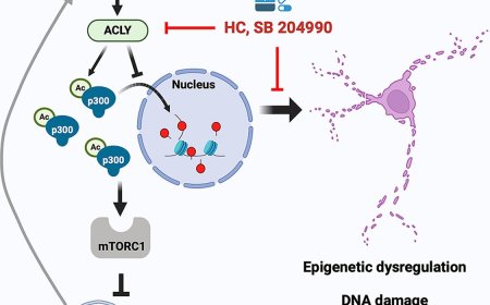 How alpha-synuclein mutations cause Parkinson’s pathology