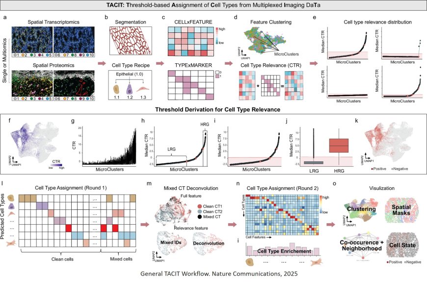 TACIT algorithm to diagnose and treat cancer