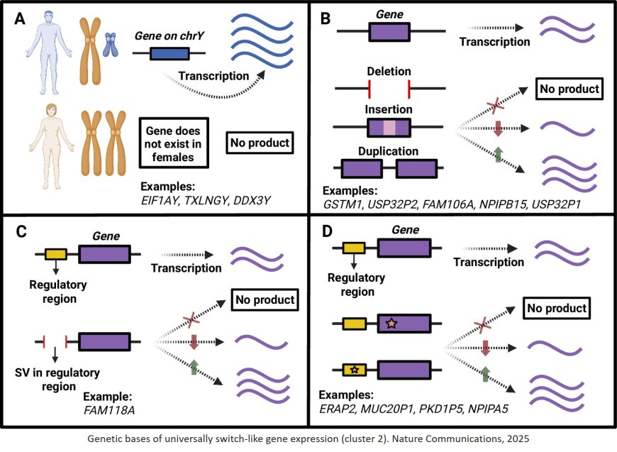 Switch-like gene expression modulates disease risk