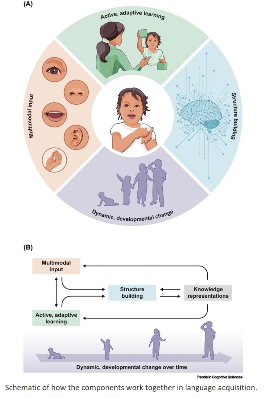 Constructing language: a framework for explaining acquisition