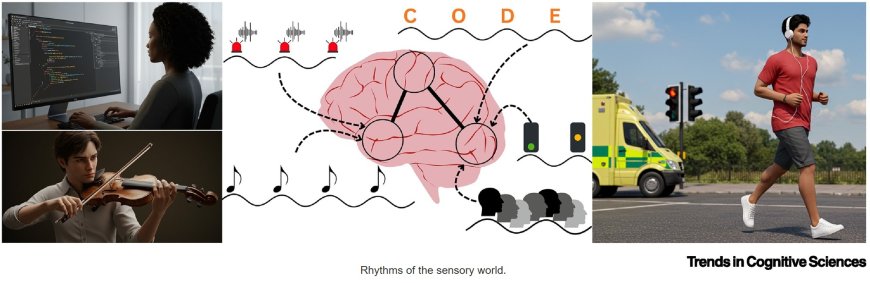 Fixed and flexible perceptual rhythms