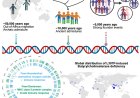 Analysis of India's genetic diversity