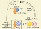 How the immune system fends off gut parasites