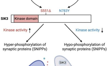 Sleeping less with a SIK3 mutation