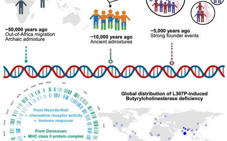 Analysis of India's genetic diversity
