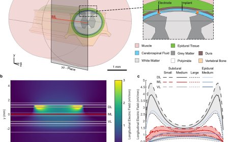 Daily electric field treatment improves spinal cord injury