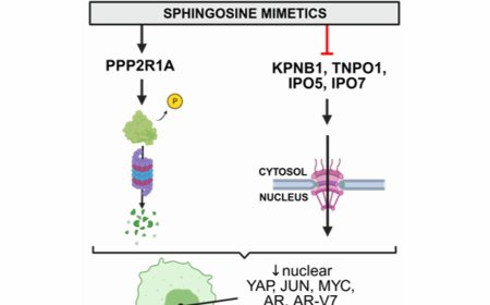 Mechanism of sphingosine mediated tumor suppression