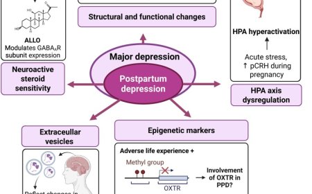 The neurobiology of postpartum depression