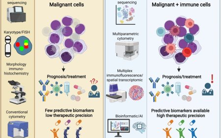 Next-generation immune profiling for immunotherapies
