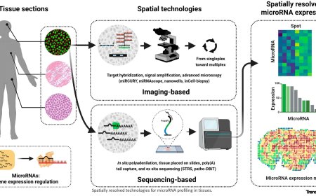 Spatially resolved microRNA profiling!