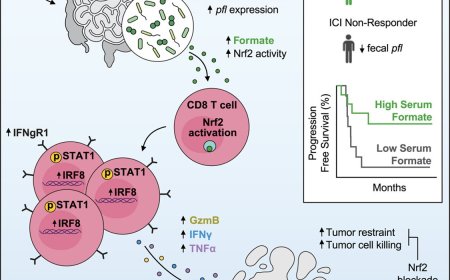 How exercise boosts cancer immunity