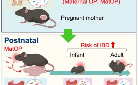 Maternal oral dysbiosis affects infant health!