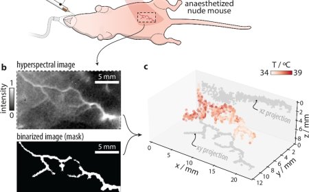 3D temperature mapping inside living tissue using light and AI