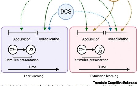Pharmacological enhancement of fear extinction