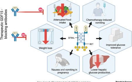 GDF15 in cancer cachexia