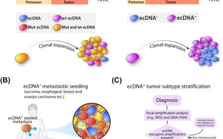 Extrachromosomal DNA in cancer