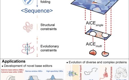 AI-powered universal strategy for protein engineering