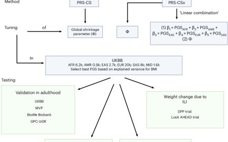 Genetic test predicts obesity in childhood