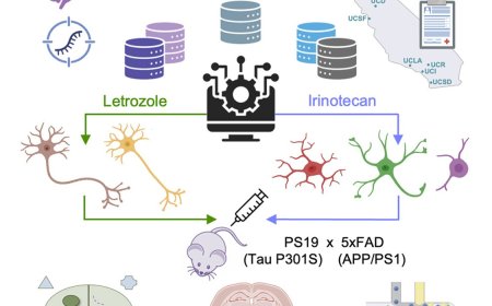 Can cancer drugs cure Alzheimer’s?