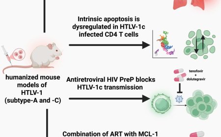 Combination antiretroviral therapy!