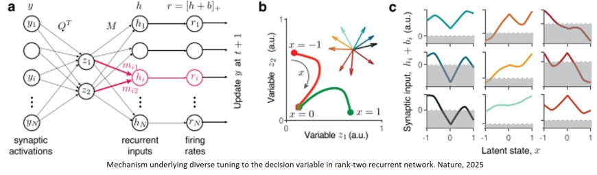 How diverse brain cells reach a decision together
