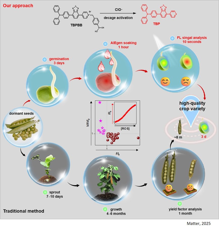 Development of quick, sensitive method for pea variety selection