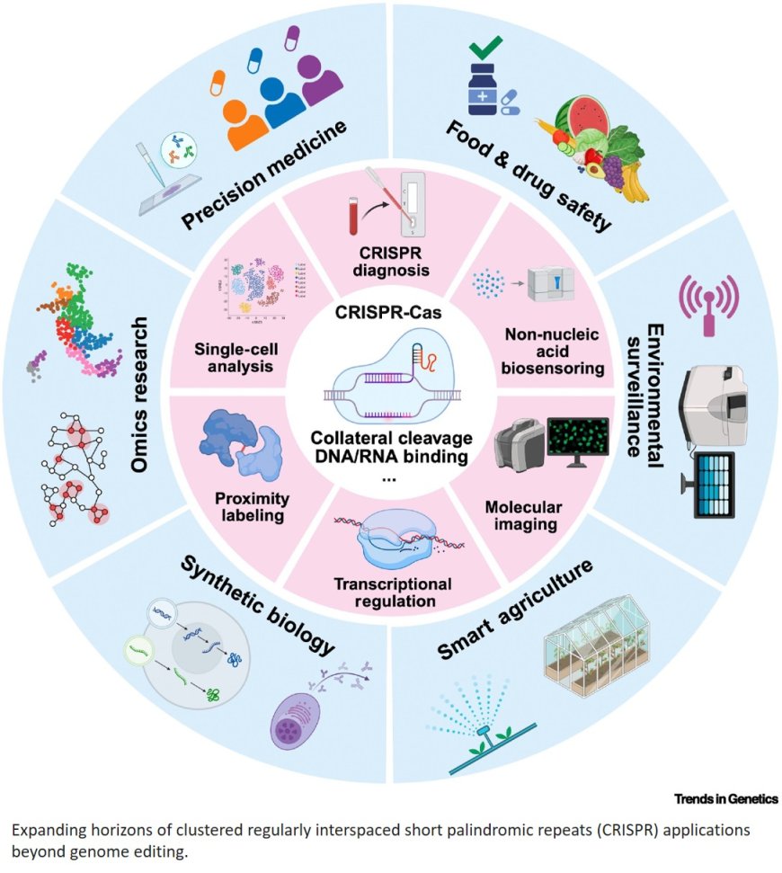 CRISPR applications beyond genome editing