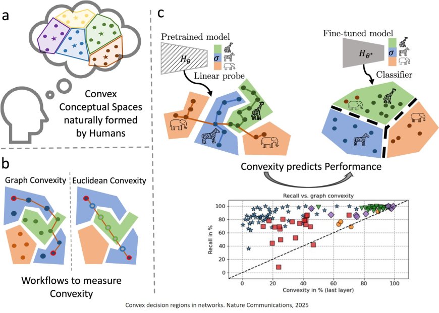On convex decision regions in deep network representations
