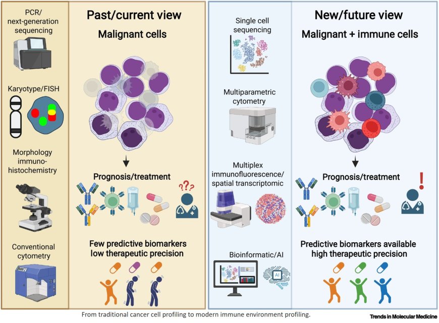Next-generation immune profiling for immunotherapies