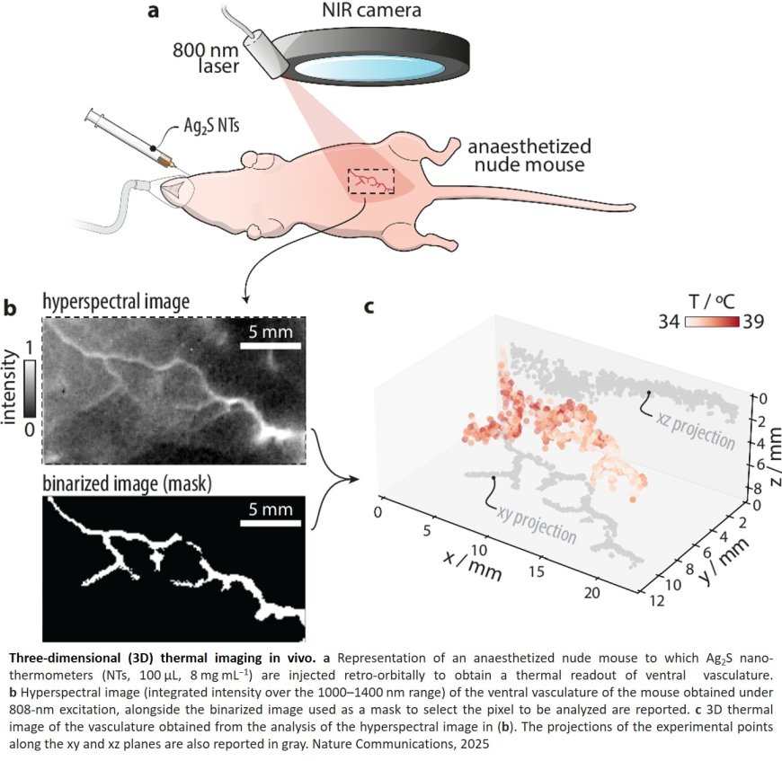 Luminescence-enabled three-dimensional temperature bioimaging