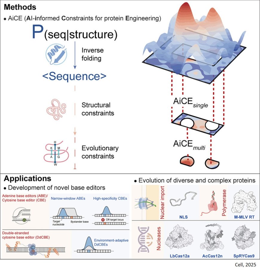 AI-powered universal strategy for protein engineering