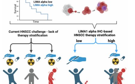 Immunochemical staining predicts curative head and neck cancer surgery