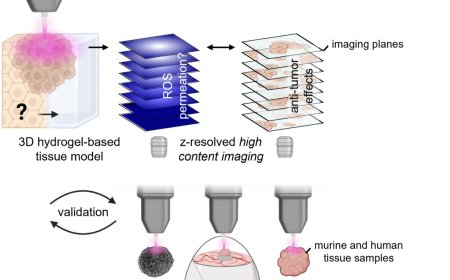 3D hydrogel-based pancreatic cancer model with gas plasma technology